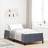 QJBSAVVA Boxspringbett Dunkelgrau 100x200 cm Samtbezug Modernes Design mit 9-Zonen Matratze Holzrahmen Langlebig für Jugendzimmer und Gästezimmer