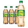 Seagrams Ginger Soda Soft Drinks, 16.9 fl oz, 6 Pack