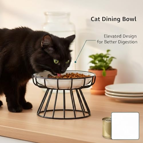 Image of Elevated Cat Plate Set - Whisker Friendly Anti-Vomit Shallow Ceramic Raised Cat Plates with Metal Stand, Anti-Slip Feeding Station Cat Bowls for Indoor Whisker Friendly