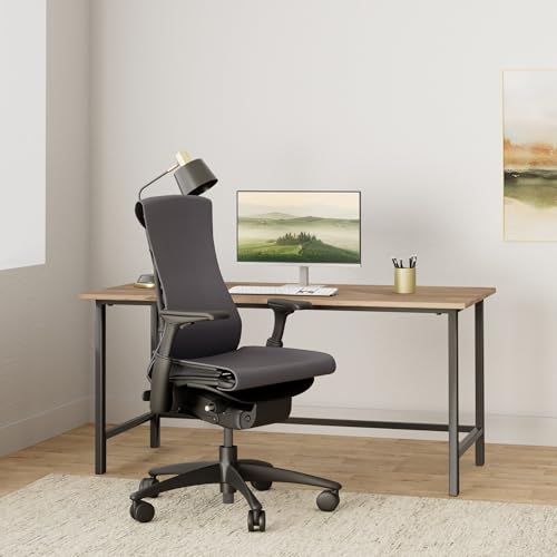 Herman Miller Embody chair