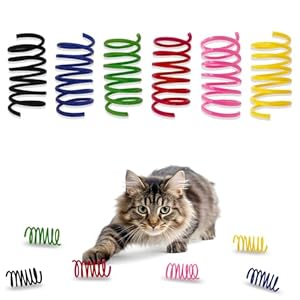 AGYM Juguetes coloridos de plástico para gatos, paquete de 30 resortes en espiral para gatos de interior para matar, morder, cazar, juguetes interactivos para gatos y gatitos