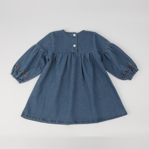 HOOLCHEAN Toddler and Little Girls Denim Embroidered Long Sleeved Dress Kids Playwear2
