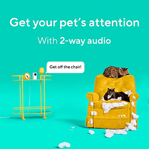 WYZE Cam Pan 1080p Pan/Tilt/Zoom Indoor Pet Monitoring Camera for Dogs & Cats Baby Monitor with WYZE 32GB MicroSD Card… - Image 4