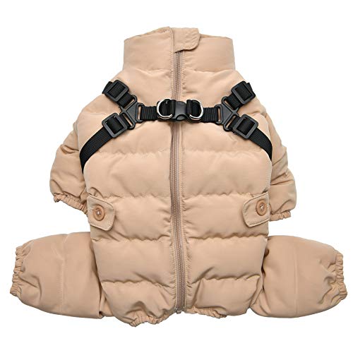 Puppia \tgW[ WvX[c - x[W - S