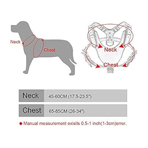 New Soft Leather Dog Harness Large Pitbull Mastiff Boxer Bully Chest for 26~34 Adjustable black  Cucciolini Doodles New soft leather dog harness large pitbull mastiff boxer bully chest for 26~34 adjustable black   cucciolini doodles