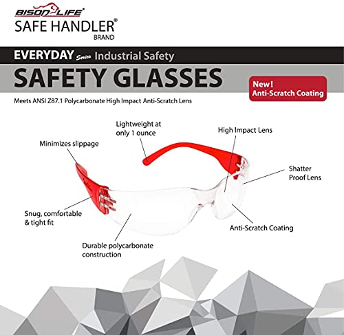 Bison Life Clear Lens Color Temple Safety Glasses | One Size, Adult, Teen, Youth, Clear Protective Polycarbonate Lens Color Temple Variety Pack, 12 Colors Per Pack (12 Packs) #TOP4