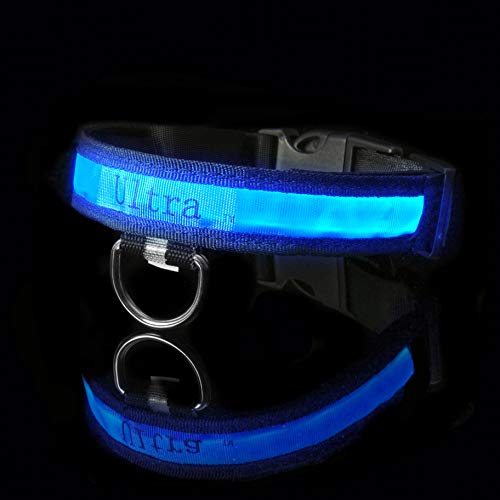 UltraByEasyPeasyStore Grand Blau Collier de Sécurité pour Chien LED Super Bright Excellente Nuit Haute Visibilité Lumineux Clignotant 3 Modes 7 Couleurs