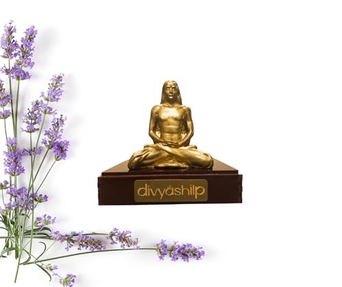 divyashilp Sri Mahavatar Babaji, Idol, Brass, Kriya Yoga, Yoga Practice, Home Decor, Pooja Room, Temple, Gift, Photo Frame, Picture, Books, Murti, Statu, Car Dashboard, Office, Store,