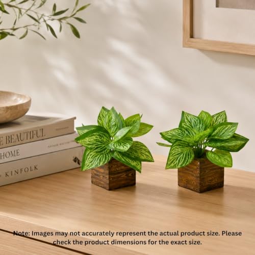 Image of DecoreBugs Artificial Real Touch Flower Plant with Pot (Pack of 2), 16 cm Height, Decorative Faux Floral Plant for Home, Office, Living Room, Bedroom, Table & Shelf Decor