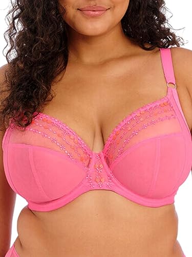 Elomi Women's Matilda Plunge Bra, Sheer, Wild Cherry, 38DD