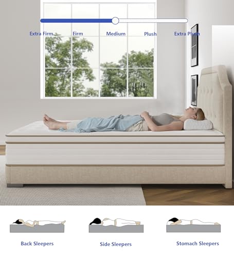 12 Inch Memory Foam Hybrid Queen Size Mattress with Pocket Springs for Pressure Relief & Motion Isolation