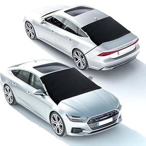 EcoNour Windschutzscheiben-Schneeabdeckung Standard mit Heckscheibe