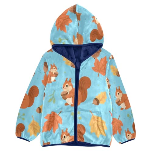 Autumn Squirrels Leaves Acorns Blue Background Toddler Fleece Jacket Girl Boys Hooded Fleece Jacket