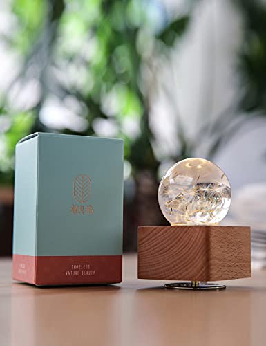 SEINHIJO Music Box Rotante Lampada Sfera di