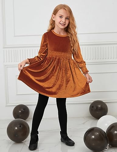 CHILDRENSTAR Girls Velvet Dress Smocked Waist Long Sleeve Knee-Length Fall Winter Dress for Kids3