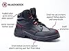 Blackrock Panther Lightweight Safety Boots, S3 Steel Toe Cap, Mens and Women, Leather Shoes, Water Resistant, Protective Steel Midsole, Anti-Slip, Anti-Static Safety Boots - Size 7 #1