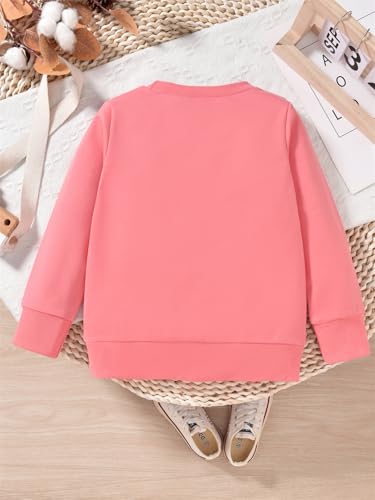 Toddler Girl 2nd Birthday Outfits Im Two Cute Sweatshirt 2 Year Old Birthday Girl Sweatshirt4