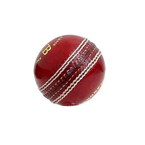 Kit de cricket pour entraînement complet pour progresser rapidement à la maison - 7