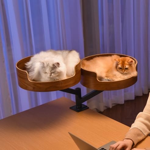 LIVIA fXNp Lxbh ]\ Xy[XߖAω׏d20kg ȒP ȒPȑgݗ/LnbN/t₷/LV/lGp/~]邱ƂłLxbhfXNLnK[ (X^htLxbhE_u^Cv)