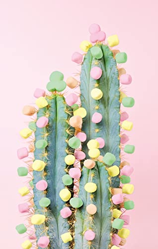 Ravensburger Puzzle Moment 17367 Cactus - 200 Pieces Puzzle for Adults and Children from 8 Years, Green, 33 cm x 21 cm - Image 2
