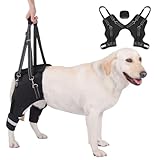 HGTRH Silla de Ruedas para Perros, Arnes de Soporte Trasero con Muelle de Memoria Ayuda para la Movilidad de Mascotas Mayores y con Movilidad Reducida Ajustable para Displasia de Cadera y Artritis XL
