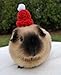 Crochet Winter Hats for Guinea Pigs, Bunnies, Gerbils, Hamsters, Chinchillas, and Other Small Pets (Blushing Pink)