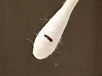 Review Image by LO LO