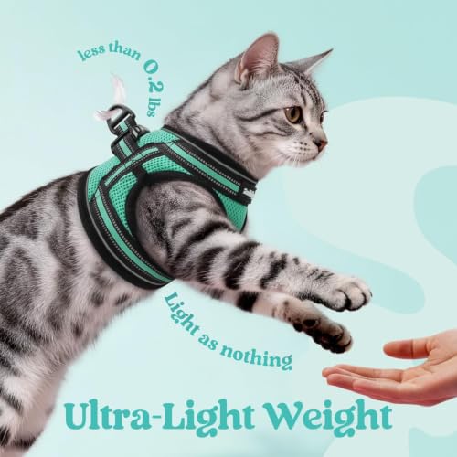 Image of rabbitgoo Cat Harness and Leash Set, Step-in Soft Vest, Green | Escape Proof, Lightweight, Easy-on & Adjustable, Hook & Loop with Buckle, Reflective, for Kittens & Small Cats Walks, M
