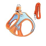 Material de malla de aire de alta calidad. El conjunto de arnés y correa para perros está hecho de material de nylon de alta calidad y duradero y de malla de aire transpirable y suave. Debido a su peso ultraligero, no causará estrés a los gatos y perros durante el paseo.