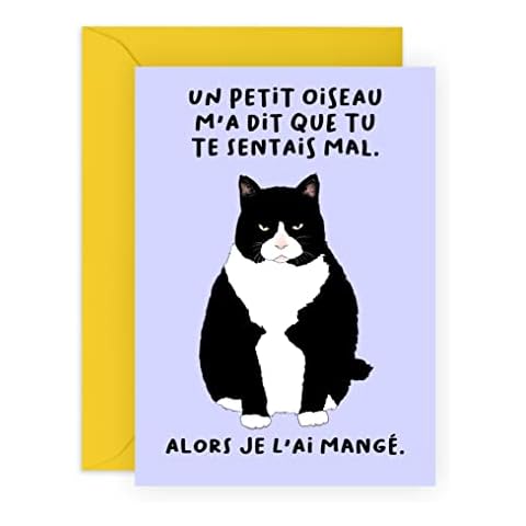 Carte de vœux Central 23 - Chat Cover