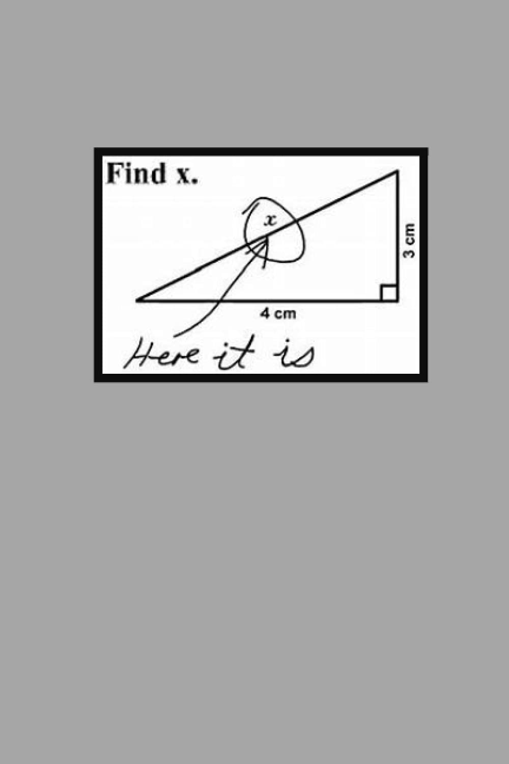 Find x. Maths. Notebook: Notebook with 120 lined pages.