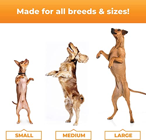 Vetriscience Glycoflex 3 Clinically Proven Dog Hip And Joint Supplement With Glucosamine For Dogs, 120 Chewable Tablets - Vet Recommended For Mobility Support For All Breeds And Sizes #TOP5