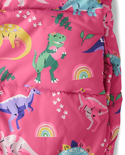 Gymboree girls And Toddler Puffer Jacket2