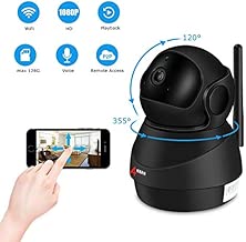 Outdoor Surveillance Security Two Channel Monitor