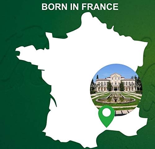 Perrier(ペリエ) プレーン 炭酸水 シュリンクパック PET [直輸入品] 500ml ×24本