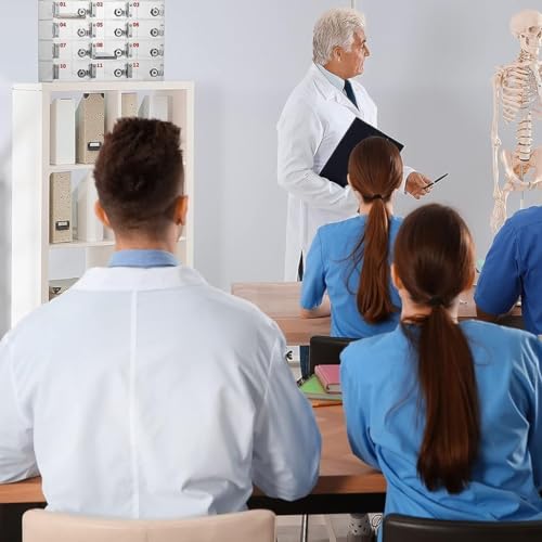 View 2