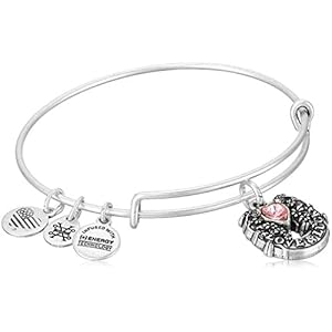 Alex and Ani Path of Symbols Expandable Bangle for Women, Fortune’s Favor Charm, Rafaelian Silver Finish, 2 to 3.5 in