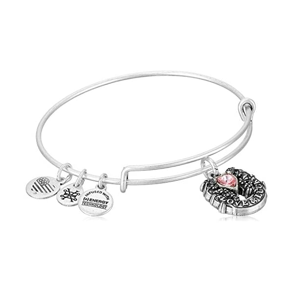 Alex and Ani Path of Symbols Expandable Bangle for Women, Fortune’s Favor Charm, Rafaelian Silver Finish, 2 to 3.5 in