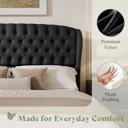 Image of AMERLIFE Full /Queen Headboard Only, Velvet Upholstered Wingback, Black
