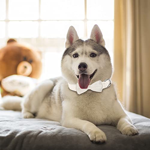 KTWSUEF Hundehalsband Samtiges, mit Abnehmbarer Hunde Fliege, Komfortable Verstellbares Samtige Halsband Hund, Geeignet für Hunde Kleine Mittel große Hunde, Für Hochzeiten, Geburtstage, Partys usw