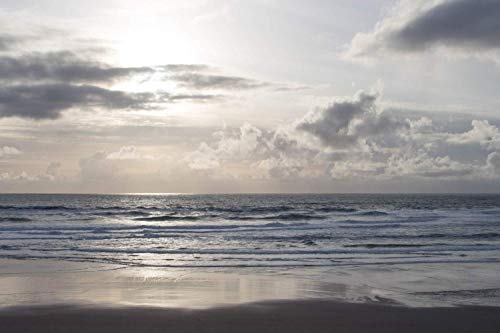 Beach Photography Unframed Silver Grey Seascape Photo Ocean Photographic Print Large Monochromatic Home Decor Sophisticated Nature