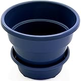 Self Watering + Self Aerating High Drainage Deep Reservoir Round Planter Pot, Maintains Healthy Roots and Moisture, for Indoor & Outdoor & Window Gardens (6 Inch / 1.5 Quart, Blue)