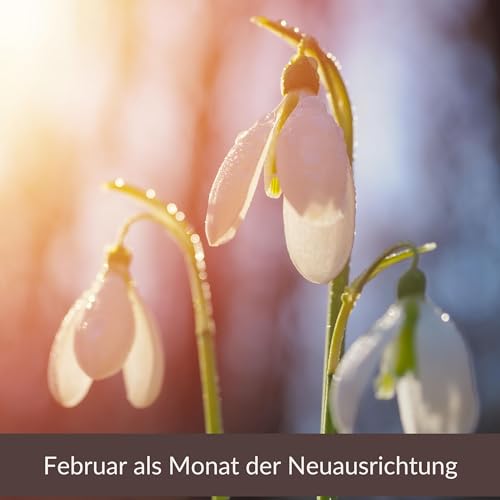 Februar als Monat der Neuausrichtung