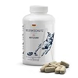Best Ceutics - Gelenktabletten Hund Artizumi | Gelenk- & Knochenschutz für Hunde, Entzündungshemmer für Hunde | Glucosamin, Chondroitin und Grünlippmuschel Hund, MSM | 125 Tabletten