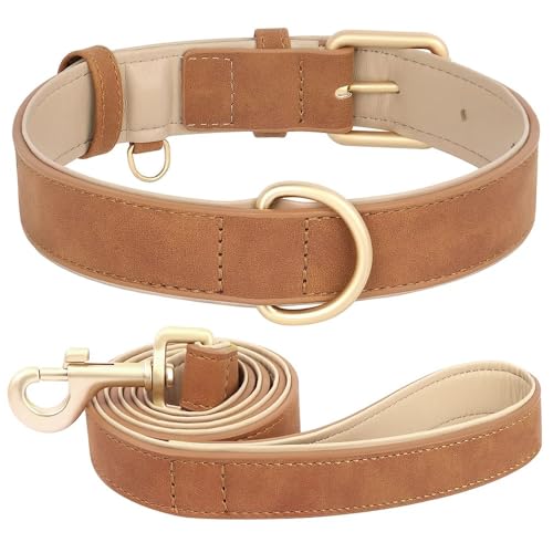 Collier réglable et laisse de marche pour chien de taille moyenne - 2
