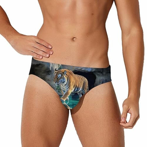 A Walking Tiger Men's Swim Brief Sexy Bikini Swimwear Swimsuit Trunks Bathing Suits