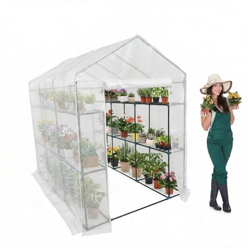Walk-in Greenhouse for Outdoors, Small Green House Outdoor with 3-Tier