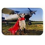 A.Monamour rutschfest Saugfähig Badematte Hundepilot In Der Nähe Von Flugzeugen Am Flughafen Lustiges Tier Thema Flanell Badteppich Badvorleger Badewanne Dusche Duschvorleger 40x60cm