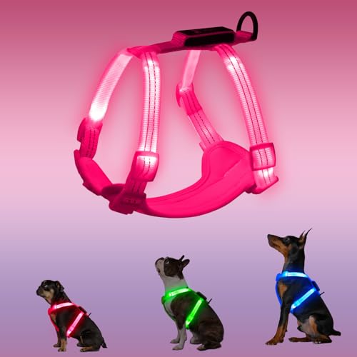 PZRLit Harnais chien luminescent rechargeable petit chien rose