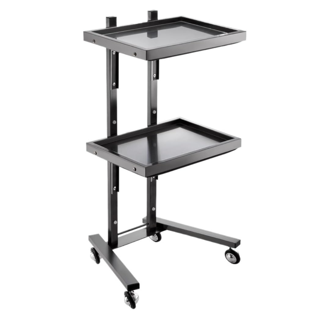 Rolling Tool 2 Tier Storage Tray Salon For Beauty Hair For Barber Shops(Black)